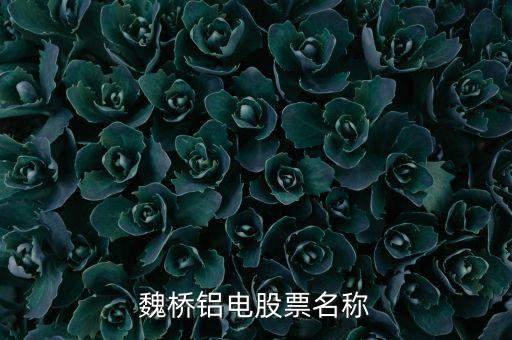 宏橋跟魏橋什么關(guān)系，宏橋中學(xué)怎么退學(xué)費(fèi)