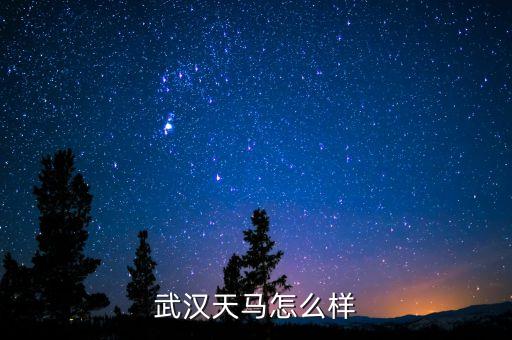 002276公司是做什么的呢，萬馬股份是做什么的