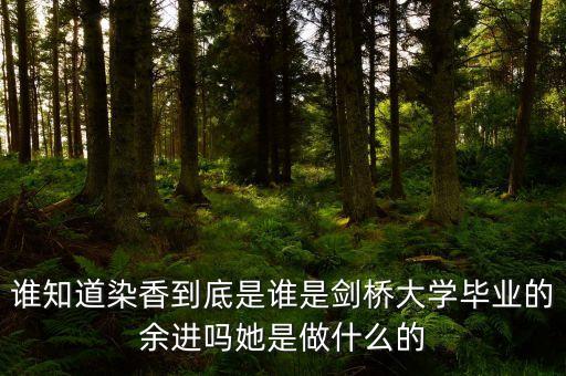 麥肯錫合伙人是什么，誰知道染香到底是誰是劍橋大學(xué)畢業(yè)的余進(jìn)嗎她是做什么的