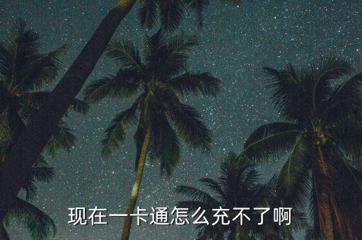 現在一卡通怎么充不了啊