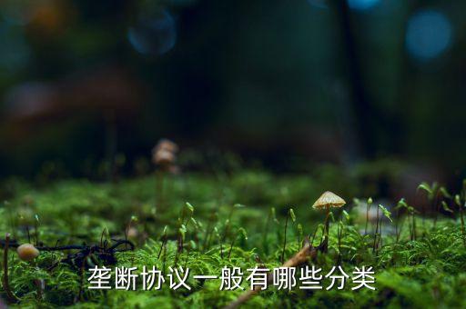 什么是縱向壟斷協(xié)議，壟斷協(xié)議一般有哪些分類