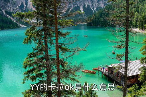 yy拉卡拉是什么，拉卡拉是什么