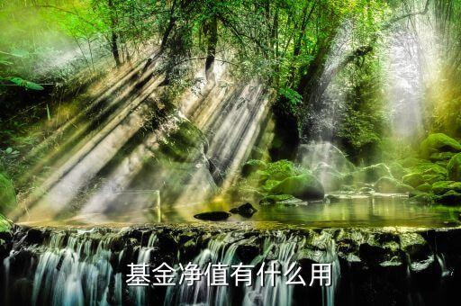 b基金凈值什么用，券商B 凈值是什么意思不定期折算又是怎么回事求高手賜教  搜