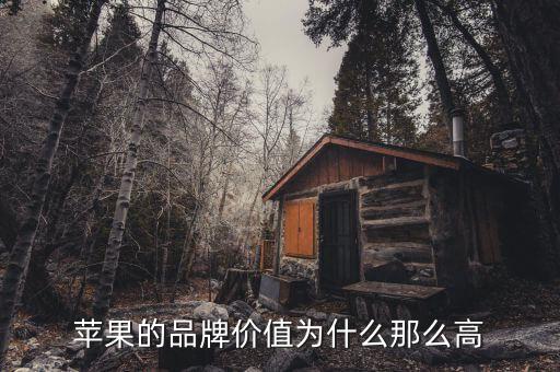 蘋果市值為什么那么高，蘋果的品牌價(jià)值為什么那么高
