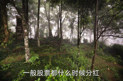 公司什么時候分紅，公司百一般在什么時候分紅或送股
