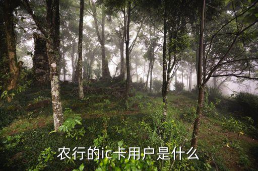 農(nóng)行ic卡是什么，農(nóng)行的ic卡用戶是什么