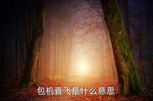 什么是包機(jī)航班，包機(jī)直飛是什么意思