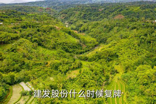 600074什么時(shí)候復(fù)牌，建發(fā)股份什么時(shí)候復(fù)牌