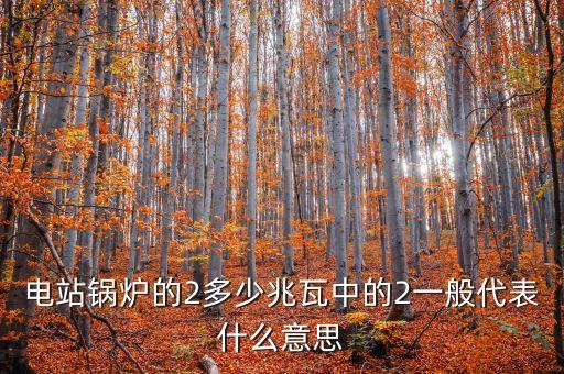 電站兆瓦什么意思，兆瓦是哪一個物理量的單位發(fā)電能力達45兆瓦說明什么意思