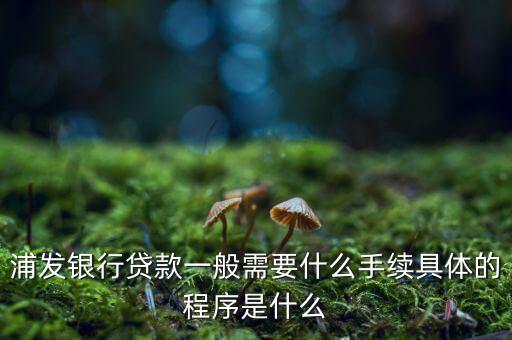 浦發(fā)銀行網(wǎng)貸通要什么條件，TB支持浦發(fā)  浦發(fā)開(kāi)通網(wǎng)銀要什么條件比如要帶點(diǎn)什么的