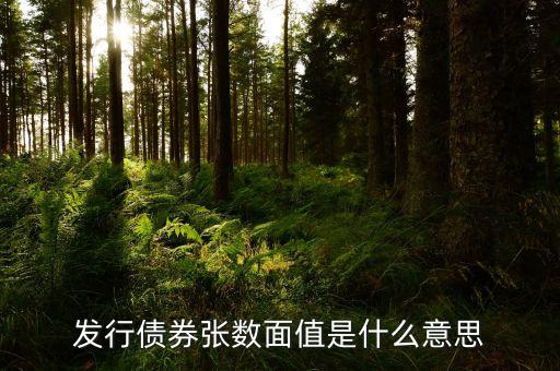發(fā)行面值是什么意思，發(fā)行債券張數(shù)面值是什么意思