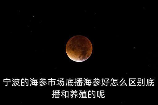 什么是底播海參，底播海參和非底播海參有什么區(qū)別