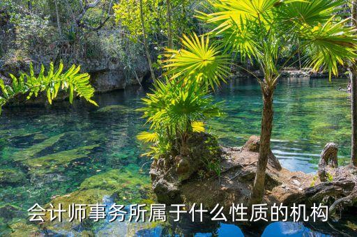 鄭商所期衍所屬于什么性質(zhì)，會(huì)計(jì)師事務(wù)所屬于什么性質(zhì)的機(jī)構(gòu)