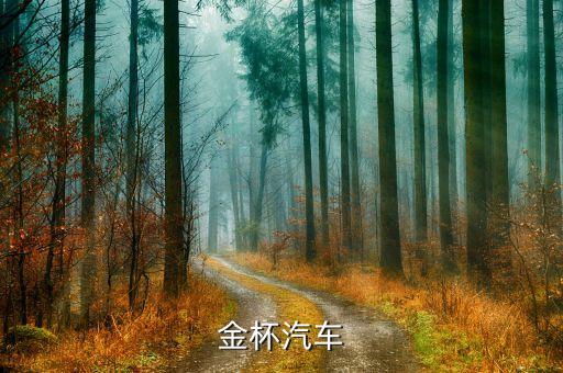 金杯汽車什么時侯改革，金杯面包車哪年起是黃標(biāo)車