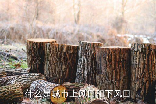 上風口是什么意思，上風口是什么意思