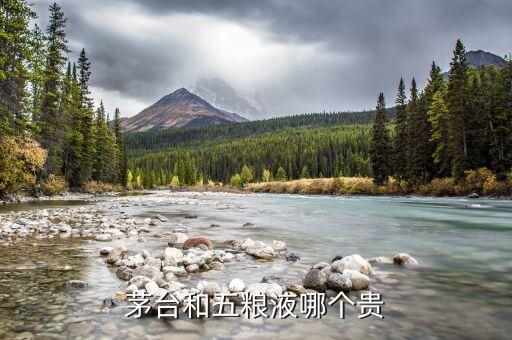 五糧液為什么沒有茅臺貴，茅臺和五糧液的每股市價為什么差距那么大 原因在哪里