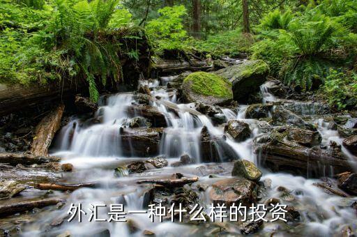 什么叫外匯投資，外匯投資到底是什么意思 必須要在什么平臺(tái)上還要開(kāi)戶嗎 我直