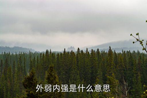 外弱內(nèi)強(qiáng)的是什么，外弱內(nèi)剛是什么意思