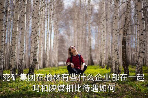 兗州煤業(yè)公司經(jīng)營什么，兗礦集團(tuán)在榆林有些什么企業(yè)都在一起嗎和陜煤相比待遇如何