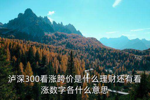看漲跨價(jià)什么意思，理財(cái) 滬深300看漲跨價(jià)好不好