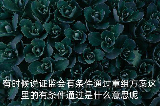 重組項目過會是什么意思，資產(chǎn)重組獲股東大會高票通過什么意思