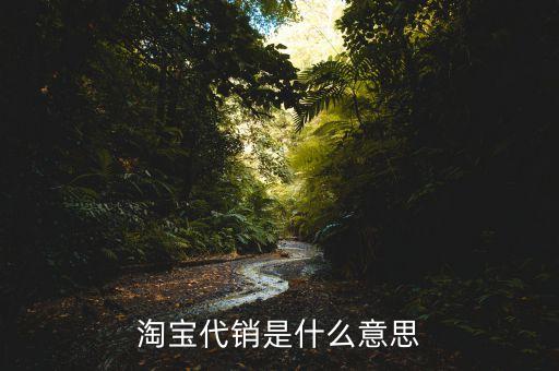 電商代銷是什么意思，想知道代銷是什么哪位大神回答一下唄