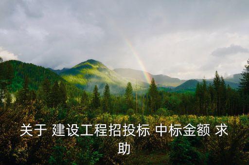 中標(biāo)金額是什么，關(guān)于 建設(shè)工程招投標(biāo) 中標(biāo)金額 求助