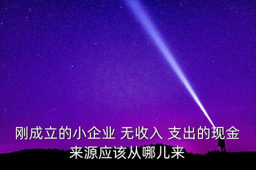小企業(yè)主為什么沒(méi)現(xiàn)金，剛成立的小企業(yè) 無(wú)收入 支出的現(xiàn)金來(lái)源應(yīng)該從哪兒來(lái)