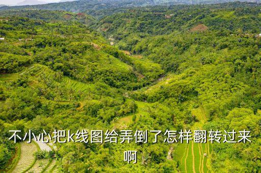 股票k線圖翻轉(zhuǎn)按什么鍵，電腦上股票k線圖怎么才能往前翻