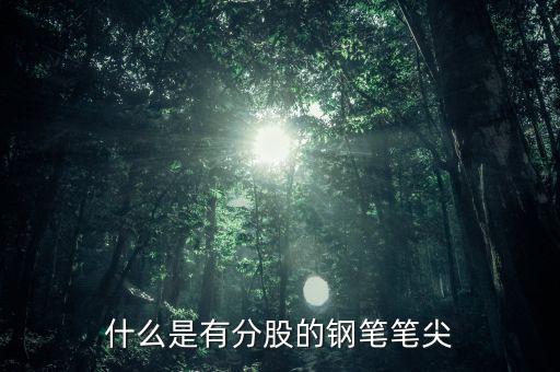 鋼筆頭分股是什么樣的，什么是有分股的鋼筆筆尖