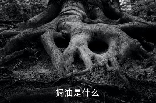 粵油是什么，輕質(zhì)油在炒原油里的什么油比如什么大連油粵油