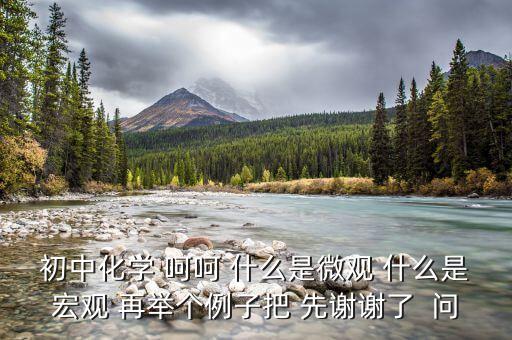什么是宏觀事實(shí)，初中化學(xué) 呵呵 什么是微觀 什么是宏觀 再舉個(gè)例子把 先謝謝了  問