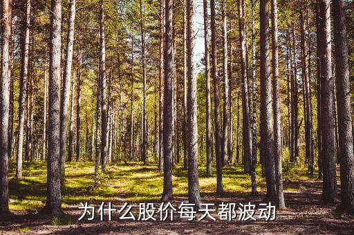 一天內(nèi)股價上下大幅波動說明什么，股票的價格為啥每天會上下波動