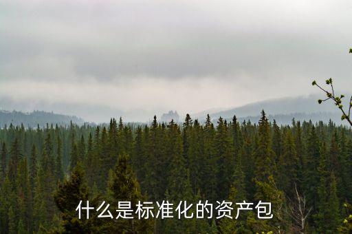 什么屬于標準化資產，標準化資產 什么是標準化資產