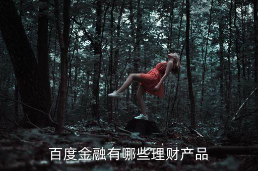 百度有什么理財(cái)產(chǎn)品，百度金融有哪些理財(cái)產(chǎn)品