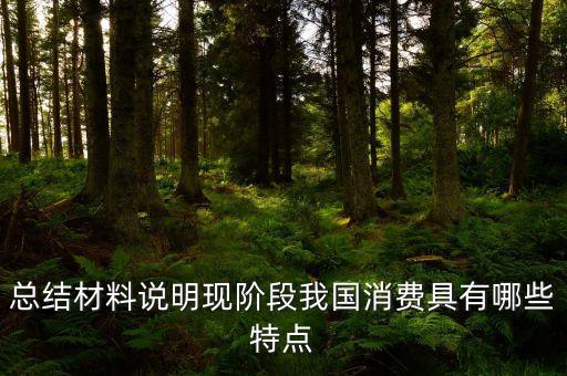從材料的數(shù)據(jù)中反映了當(dāng)前消費(fèi)的什么特點(diǎn)，總結(jié)材料說明現(xiàn)階段我國(guó)消費(fèi)具有哪些特點(diǎn)