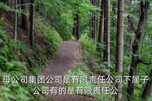 母公司集團公司是有限責任公司下屬子公司有的是有限責任公