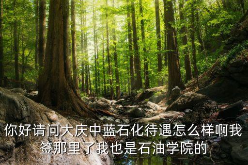 中藍(lán)石化總公司是什么公司，中藍(lán)集團(tuán)是那一年成立的