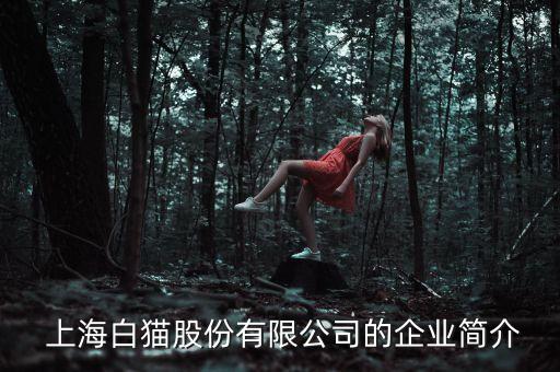  上海白貓股份有限公司的企業(yè)簡(jiǎn)介
