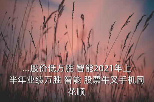 ...股價低萬勝 智能2021年上半年業(yè)績?nèi)f勝 智能 股票牛叉手機(jī)同花順