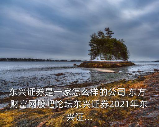 東興證券是一家怎么樣的公司 東方 財富網股吧論壇東興證券2021年東興證...