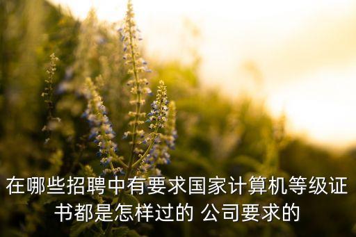 在哪些招聘中有要求國(guó)家計(jì)算機(jī)等級(jí)證書都是怎樣過(guò)的 公司要求的