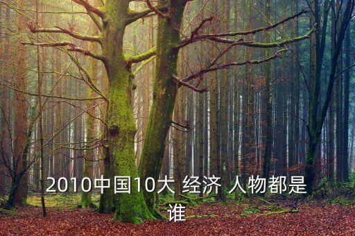 CCTV中國經(jīng)濟(jì)年度人物,cctv中國經(jīng)濟(jì)年度人物評(píng)選頒獎(jiǎng)活動(dòng)2002