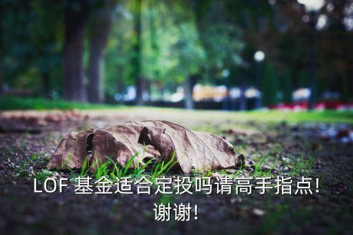 LOF 基金適合定投嗎請高手指點(diǎn)!謝謝!