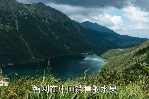  智利在中國銷售的水果