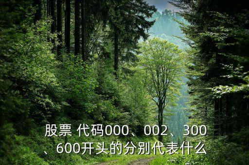  股票 代碼000、002、300、600開(kāi)頭的分別代表什么