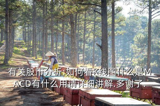 島形反轉的股票,股票島形反轉理論的高度是多少