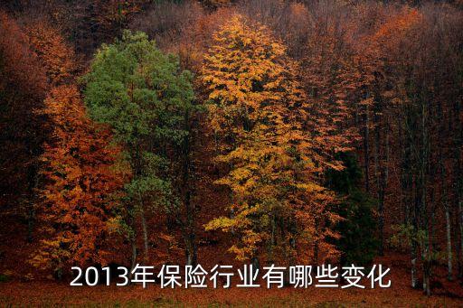 2013年保險(xiǎn)行業(yè)有哪些變化