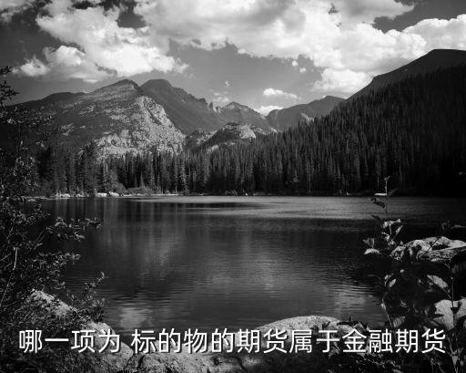 股票標的物,定性選擇標的物股票對