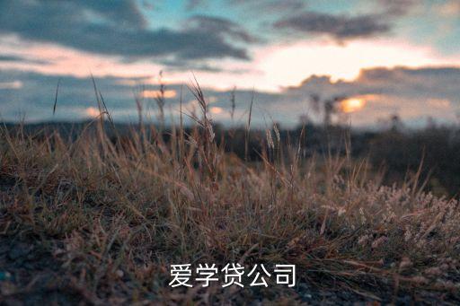  愛(ài)學(xué)貸公司